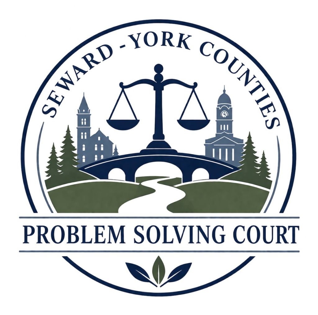 Problem Solving Court Logo